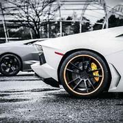 261427834的个人资料头像