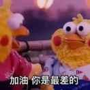 章旭在掘金的个人资料头像