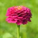 彩彩就是我41467的个人资料头像