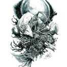 OriginalS41475的个人资料头像