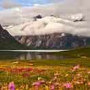 云尘飘羽的个人资料头像