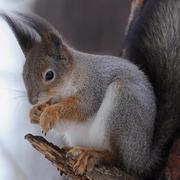 lifefeng的个人资料头像