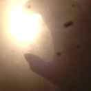 不偷吃的猫的个人资料头像