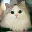 邱伟的个人资料头像