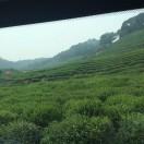 bucket的个人资料头像