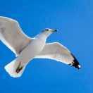 重名了41572的个人资料头像