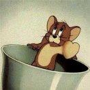 琳琳在掘金的个人资料头像