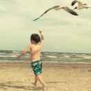 ID就是我的个人资料头像