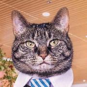 Lokizz的个人资料头像