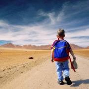 lvbowen的个人资料头像