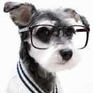 Tansor的个人资料头像