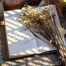 西柚不想说话的个人资料头像