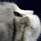 Denis就是我的个人资料头像