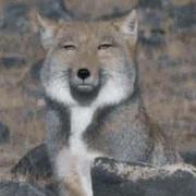 AlexNeon1087本尊的个人资料头像