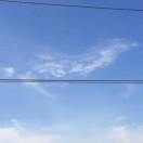 life本尊41820的个人资料头像