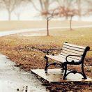 NiceDay41866的个人资料头像