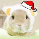 Sherry在掘金41874的个人资料头像