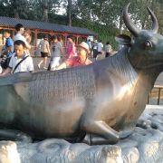 阿文_zw的个人资料头像