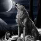 Ruby谢振中的个人资料头像