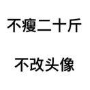 Yang酱41955的个人资料头像