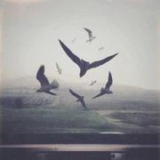 Mr0Dong的个人资料头像