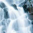 流水天骥的个人资料头像