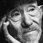 daojiAnime的个人资料头像