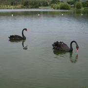 yulilong的个人资料头像