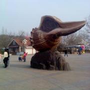 yushk就是我的个人资料头像