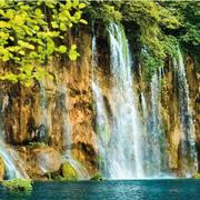 13365755735的个人资料头像