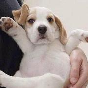 demoyf的个人资料头像