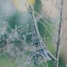 酱42106的个人资料头像