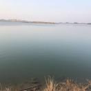 踏雪君的个人资料头像