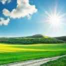 晴天本尊42138的个人资料头像