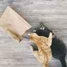 Noan的个人资料头像