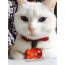 李佳吉的个人资料头像