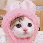 羽夫人ME的个人资料头像