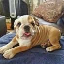 五号星球的个人资料头像