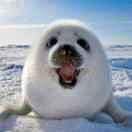 谬的个人资料头像