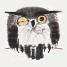 linboo的个人资料头像