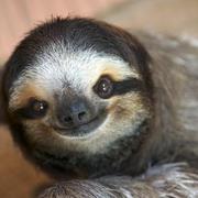 GCCode的个人资料头像