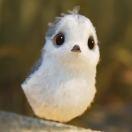 lingxiao的个人资料头像