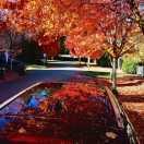 幣哘迗疜的个人资料头像