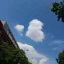 Ulquiorra42390的个人资料头像