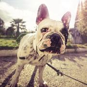 AndroidLiQiang的个人资料头像