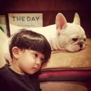 ZhuXinYuan的个人资料头像