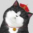 传龙的个人资料头像