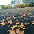 何瑞龙的个人资料头像