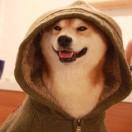 w作鸿的个人资料头像