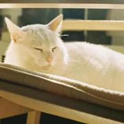 guangxyou的个人资料头像